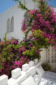 Dar Assakina, charming house 120 m from the sea. - Image 4