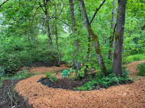 Woodsy Studio - Image 3