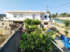 Panagiotou - Image 2