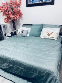 Modern 2 bedroom guest suite - Image 5