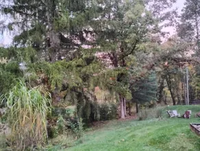 The River Cabin - Image 5