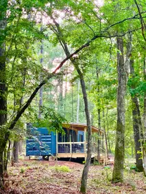 Tiny Timbers Livingston - Image 2