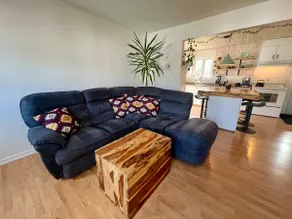 Bright house with views of Mount Miller - Image 2