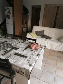 4-person house - Image 5