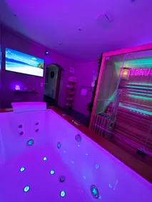 La Suite Sunset - Jacuzzi/Sauna - Close to CDG - Image 2