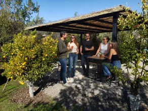 Nature and Relaxation near Santiago/Viña - Image 3