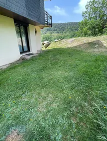 Cozy apartment overlooking a quiet garden level - Image 3