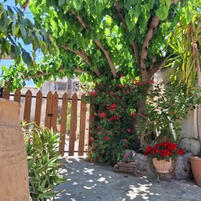 Kyriaki's Traditional House - Image 4