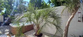 Apartment with Garden and Hot Tub - Image 2