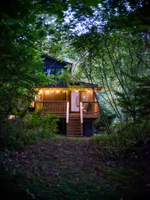 Catskills ChestnutCreek+NEW HOT TUB & Deck+Firepit - Image 5