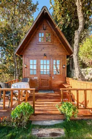 The Tiny Woodhouse (By Snovika Organic Farms) - Image 2