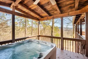 Private Views Hottub Pets Central - Image 4