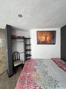 Private downtown loft for 4, couples, groups - Image 3