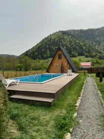 House Mtiani Borjomi With pool - Image 3