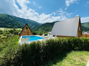 House Mtiani Borjomi With pool - Image 2