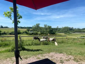Gîte rural insolite Les Tains - Image 4