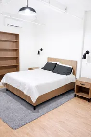 Trumbull ST Fully Furnished Loft Style Apartment - Image 5