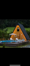 House Mziani Borjomi with pool - Image 4
