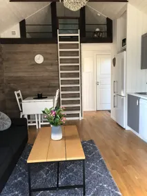 Newly built cottage by the lake Immeln - Image 4