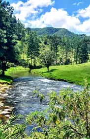 Blue House – Donner's Jump Retreat - Image 2