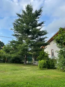 Rural Charm & Nature with Parking - Image 5