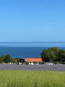 Stay in an apple grove in Kivik - Image 2