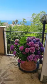 Martina's house - Image 2