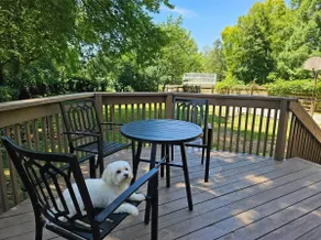 Porch Swing Place - Newly Renovated Charm - Image 4