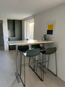 Apartment in basement villa - Image 3