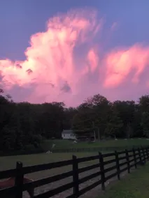 Home in Cold Spring- Farm Stay! - Image 5