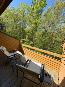 Valleys Chalet - Harbor Springs/Petoskey Condo - Image 2