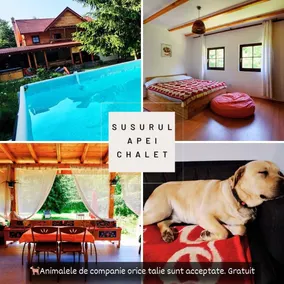 Susurul Apei Chalet - Image 2