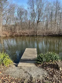 Tree City Retreat - Image 4