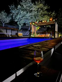Villa Gelso Bianco with swimming pool and Nordic sauna - Image 4