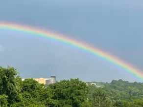 Your View of the Ark - Joseph’s Pointe - Image 2