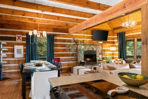 Sauna·Hot Tub·Arcade·Fire Pit·Mtn View Cabin - Image 3