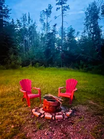 Stay Wild! Private woodsy cabin - Image 2