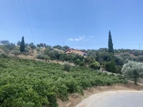 Greek Tuscany Vasiliki's Home - Image 5