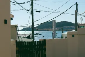 Rage in Bloom/Oshiria, East Busan/Single-family house/With a yard/Ocean view - Image 5