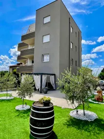 Olive grove - Image 4