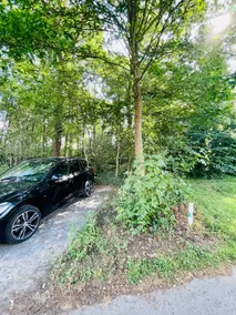 Chalet goudmeer LUXURY AIRCO WIFI 3 bedrooms 2 bathrooms - Image 5