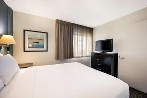 Pet-friendly Suite with Full Kitchen and Parking! - Image 2