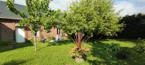 The owl's house - Image 4