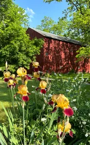 Seneca Lake Presents Walnut Creek Farm - Image 3