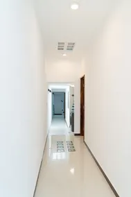Guanacaste Tree - Image 2