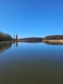 Panoramic nature, sauna and jacuzzi - Image 3