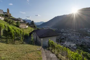 Little Oasis Among Vineyards - Image 4