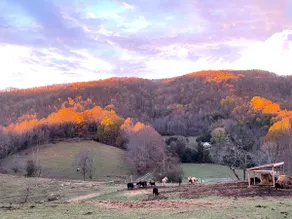 Farm house with animals 10 minutes from Big Stone - Image 2