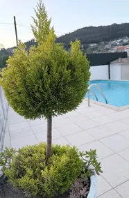 Cantinho do Sobreiral - Image 3