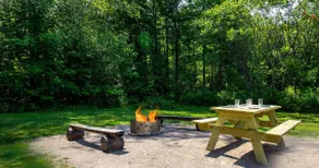 Lakewood Log cabin-ATV access - Image 3